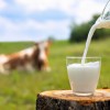 生牛奶越来越受欢迎 但科学家认为它比你想象的更危险