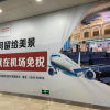 中国中免营收利润双降背后：出境消费分流 两大免税城在“失血”