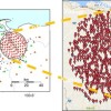 日本研究人员发现断层强度与地震可能性之间的联系 距离预测地震又近一步