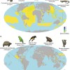 地球自然灾害正在加速生物多样性的丧失 3000多个物种面临灭绝的危险