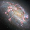 哈勃望远镜清晰地观察到棒旋星系NGC 1559的整体结构