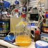 告别传统农业？德国科学家设法从空气和水中获取蛋白质