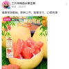 三只羊全面复播 全程未提月饼风波 央广网痛批其装聋作哑