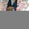 《幻兽帕鲁》PS5版已从TGS参展阵容中移除