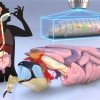 科学家发现传递