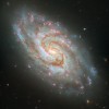 哈勃太空望远镜揭示了螺旋星系 IC 1954 的细节