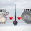 “邪门”的彼岸花竟专挑台风期开放 很多人见过却不知道