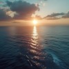 斐济海域创下600年高温纪录