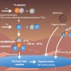 来自大气甲醛的新线索提供了对古代火星环境的新见解