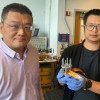 新型阴极技术可为电动汽车和能源存储带来革命性变革