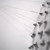 科学家创造出能愈合伤口的超强蜘蛛丝