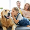研究发现犬类在处理语言时反应较慢 掌握节奏可以增强其理解力