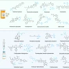 小分子标签将静脉注射化疗药物制成药丸状 生物利用率大幅提升