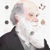 达尔文被遗忘的遗产：时间生物学与隐藏的自然节奏