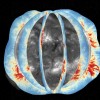 科学家们开发出了一种可实时测量太阳日冕磁场的方法