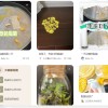 年轻人开始养黏菌当宠物：自然界最神秘物种之一 拥有惊人智力