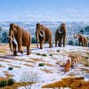 6500万年前 哺乳动物凭什么突然崛起统治地球？