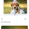 Google即将支持用Gemini生成任何形状或大小的图像