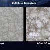科学家发现可快速降解的生物塑料CDA