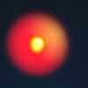 红巨星参宿四的明显亮度变化很可能是受一颗轨道伴星的影响