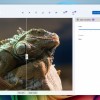 微软开始在Copilot+ PC上测试Windows 11照片应用中的图像放大和OCR
