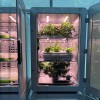 电子农业可以用更高效的太阳能发电过程取代光合作用