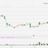 超微电脑跌近9%创年内新低，停牌或退市可能性增加