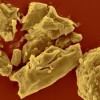 科学家造出分子打破布雷特规则