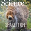 淋湿的动物为什么能抖干自己？科学家给出了答案