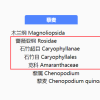 神奇的藜麦：蛋白含量比鸡蛋高 膳食纤维比燕麦更优秀