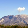 实验性引进的地鼠修复圣海伦火山的土壤和植物生态 有益影响持续40年
