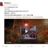 李子柒身份证改名：名字从李佳佳改为李子柒