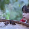 李子柒该感谢东北雨姐的“曲线助攻”