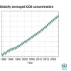 2024年，化石燃料的二氧化碳排放量再次增加