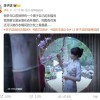 李子柒一袭长裙亮相：熊猫蜀锦裙是自己缝的