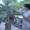 停更3年 李子柒说互联网真的和以前不一样了