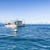 日内瓦湖排放的二氧化碳与一座城市一样多