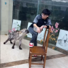 宠物乐园清洁人员屁股绑不锈钢盆 看到斑鬣狗懂了