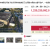 柔宇显示公司资产将拍卖 起拍价约12.3亿元