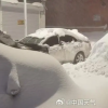 黑龙江暴雪过后鹤岗车主挖宝寻车 挖到车牌才知道是谁的车
