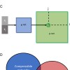 科学家受基因组效率的启发开发AI算法 实现出色的数据压缩和任务性能