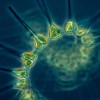 全球变暖导致深海浮游植物的生长模式发生了重大变化