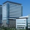 半导体巨头恩智浦：将为客户建立一条中国芯片供应链
