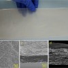 科学家研制出能被细菌轻易分解的超强环保塑料