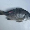 钓鱼佬钓到一条有编码的鱼：“浙海研C50” 来历找到了