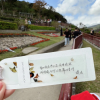 琼瑶最后一份礼物曝光：亲笔书签