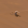NASA复盘机智号火星直升机失事：无法正确判断陨石坑周围环境导致硬着陆和翻滚