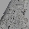 两个类人猿物种150万年前曾在肯尼亚图尔卡纳盆地行走