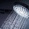 含银花洒并不能像声称的那样有效降低病原体水平