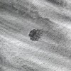 Landsat 9卫星带您观察飞机在天空中制造的空洞云